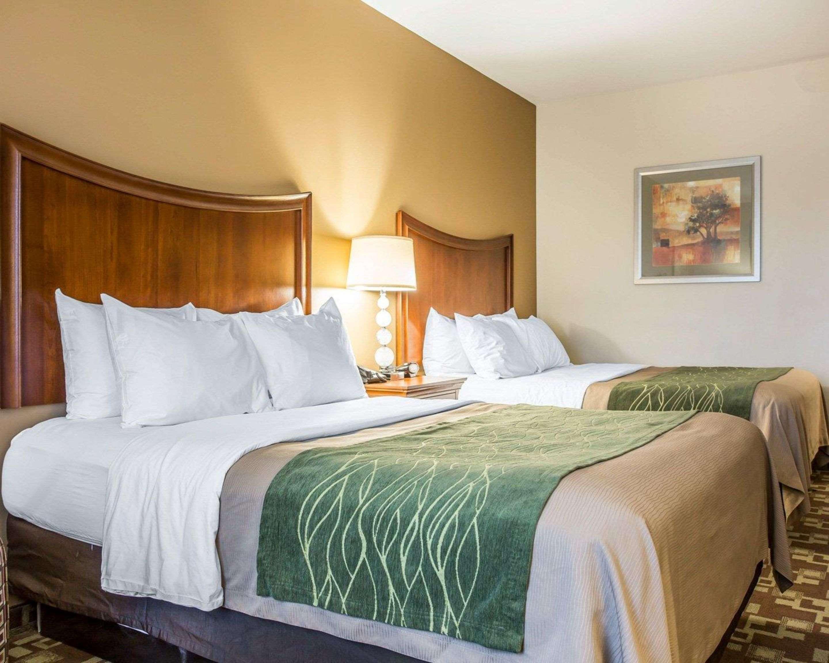 Comfort Inn & Suites Orangeburg Exteriér fotografie